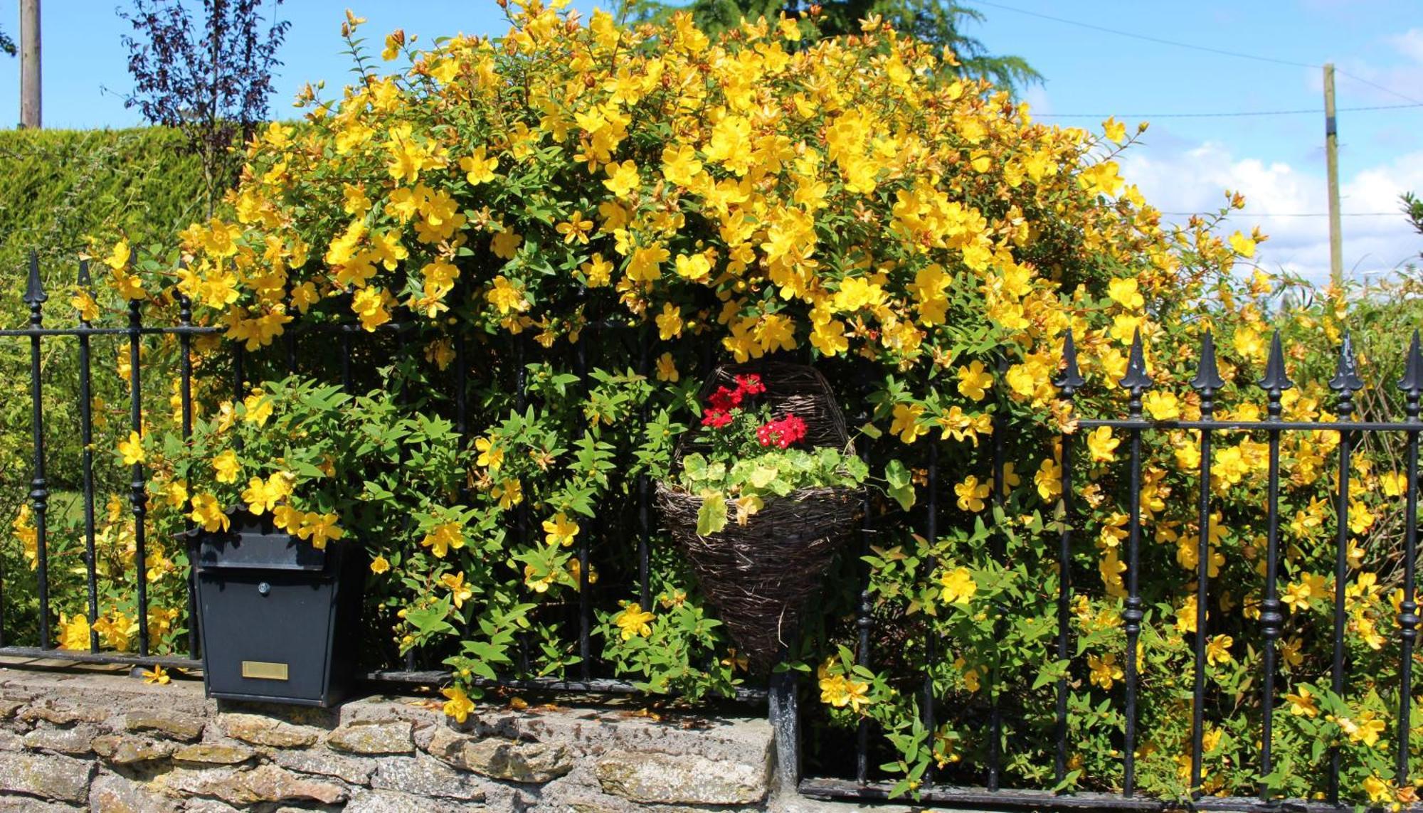 Banagher Charlotte'S Way B&B المظهر الخارجي الصورة